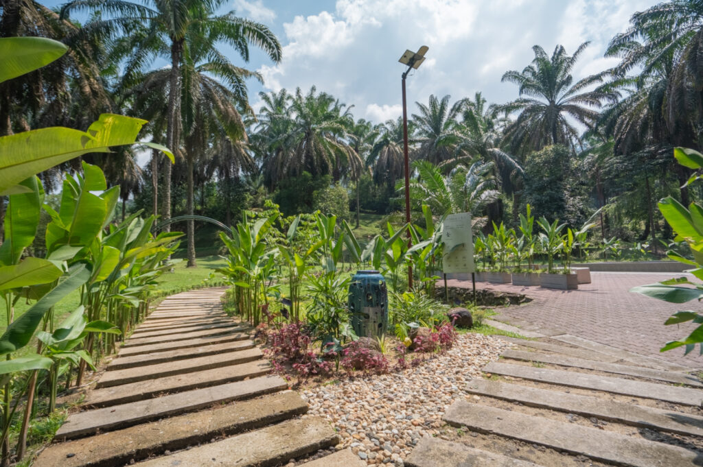 Garden path through tropical plants at Sementra